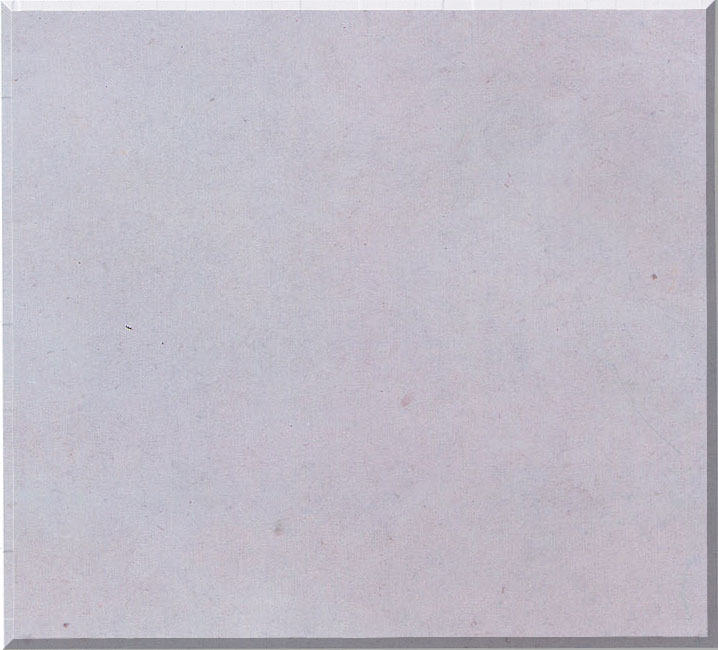 White Fossil